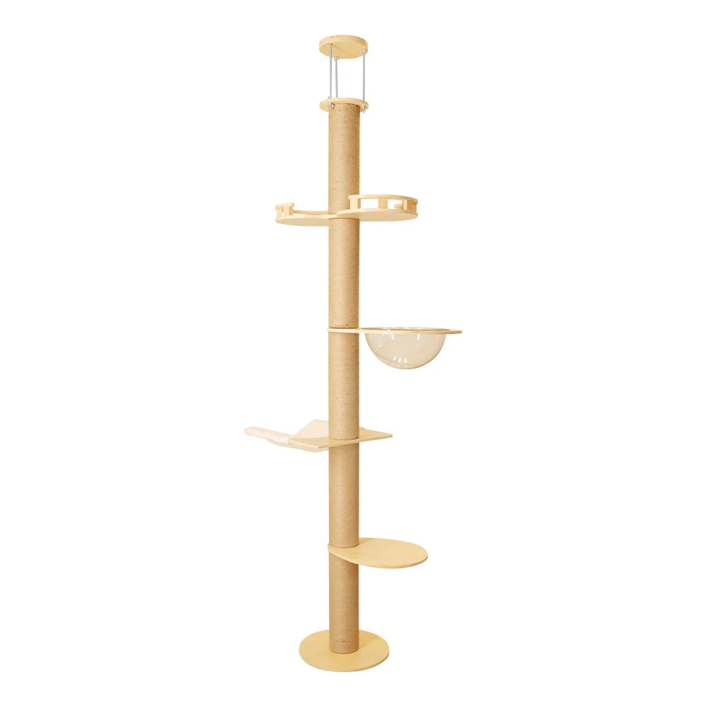 Tiragraffi A Soffitto In Legno Per Maine Coon Con Amaca