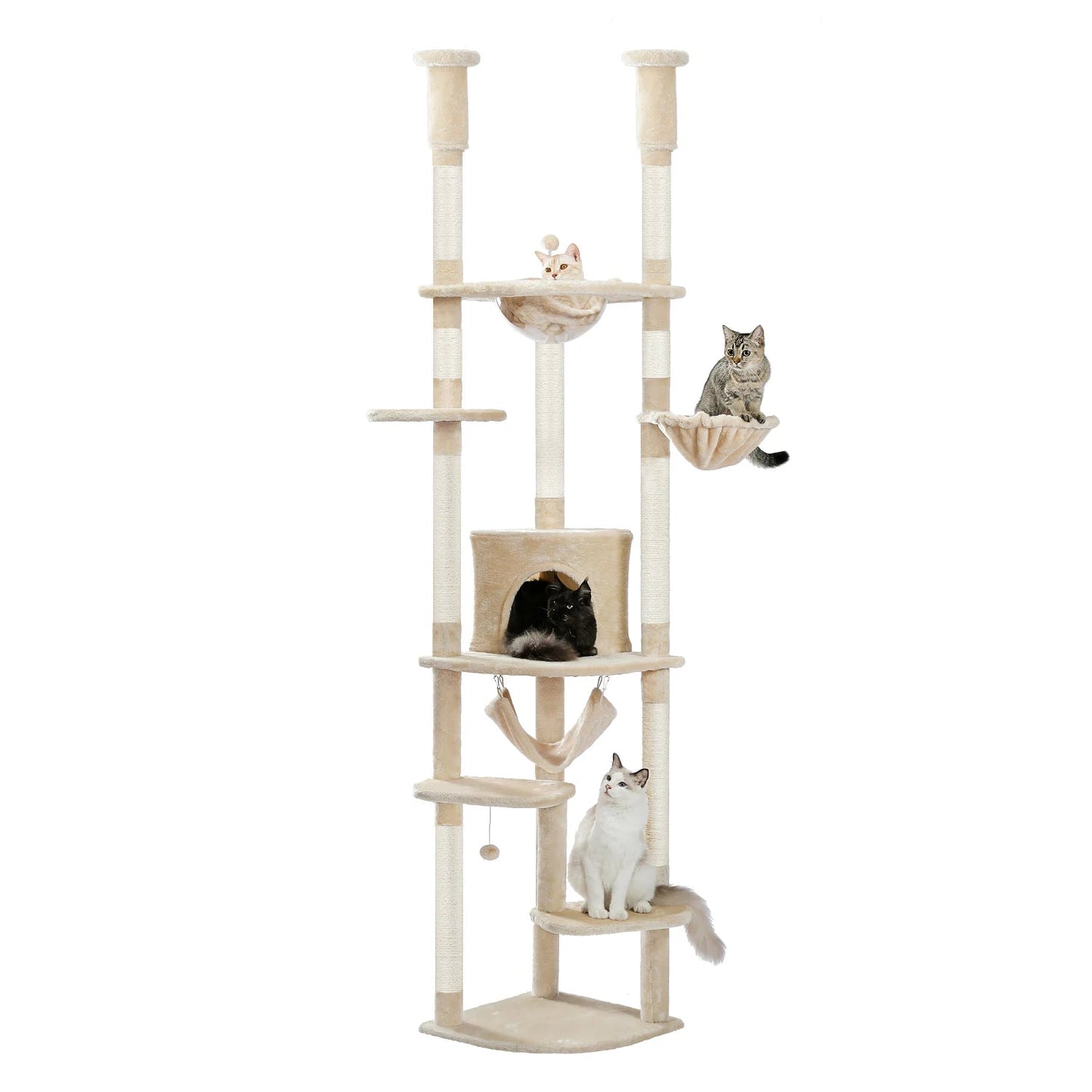 Tiragraffi A Soffitto Per Maine Coon Salvaspazio