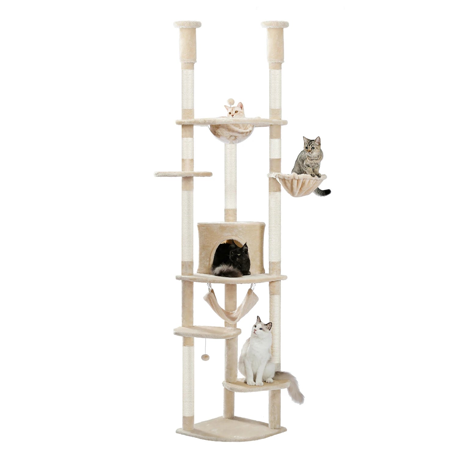 Tiragraffi A Soffitto Per Maine Coon Salvaspazio