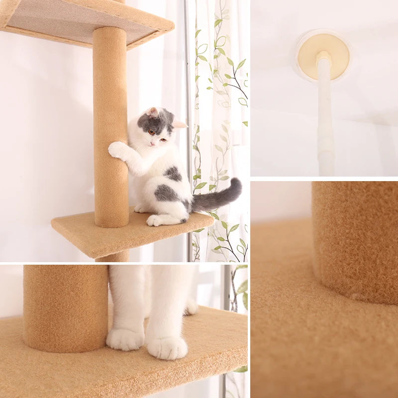 Tiragraffi A Soffitto Per Maine Coon XXL Con Amaca