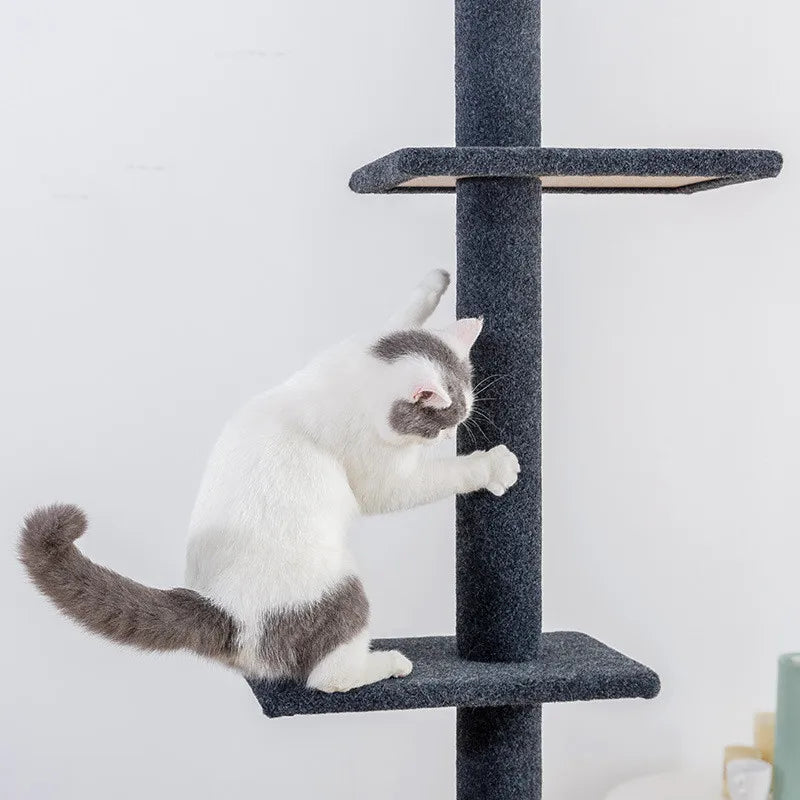 Tiragraffi A Soffitto Per Maine Coon XXL Da Parete