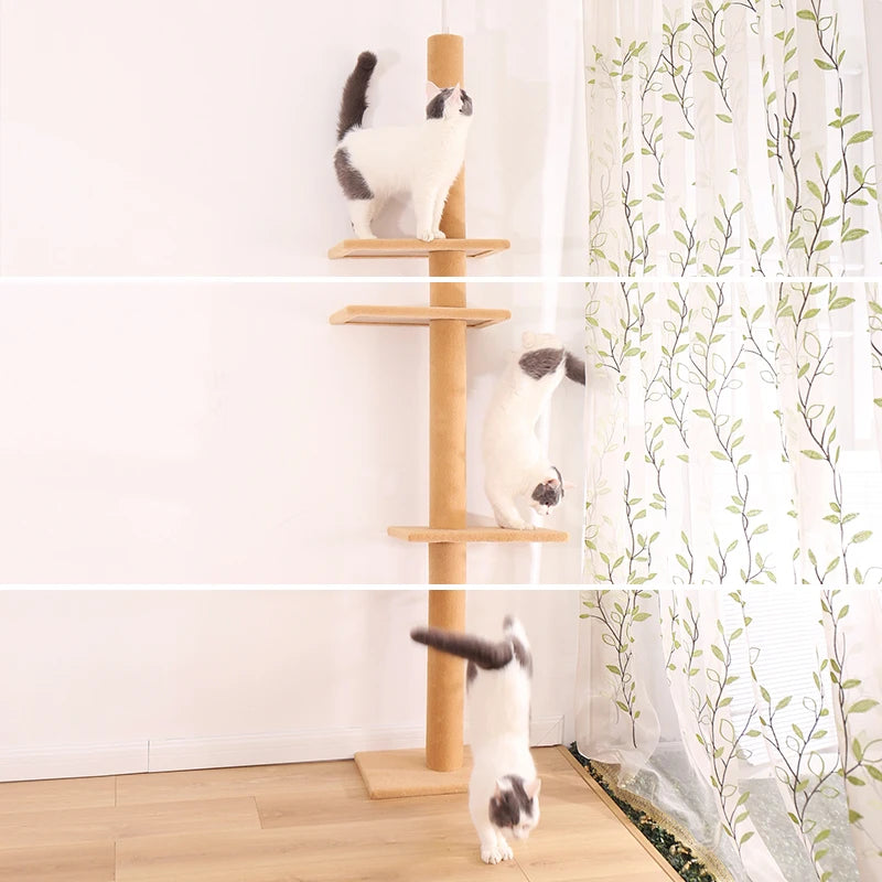 Tiragraffi A Soffitto Per Maine Coon XXL Design Moderno