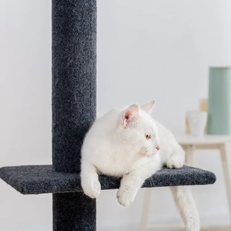 Tiragraffi A Soffitto Per Maine Coon XXL In Legno