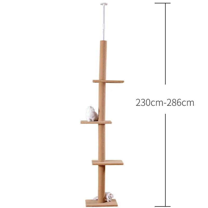 Tiragraffi A Soffitto Per Maine Coon XXL In Sisal