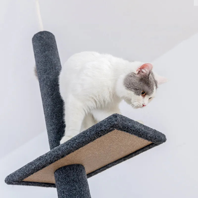 Tiragraffi A Soffitto Per Maine Coon XXL Per Gatti