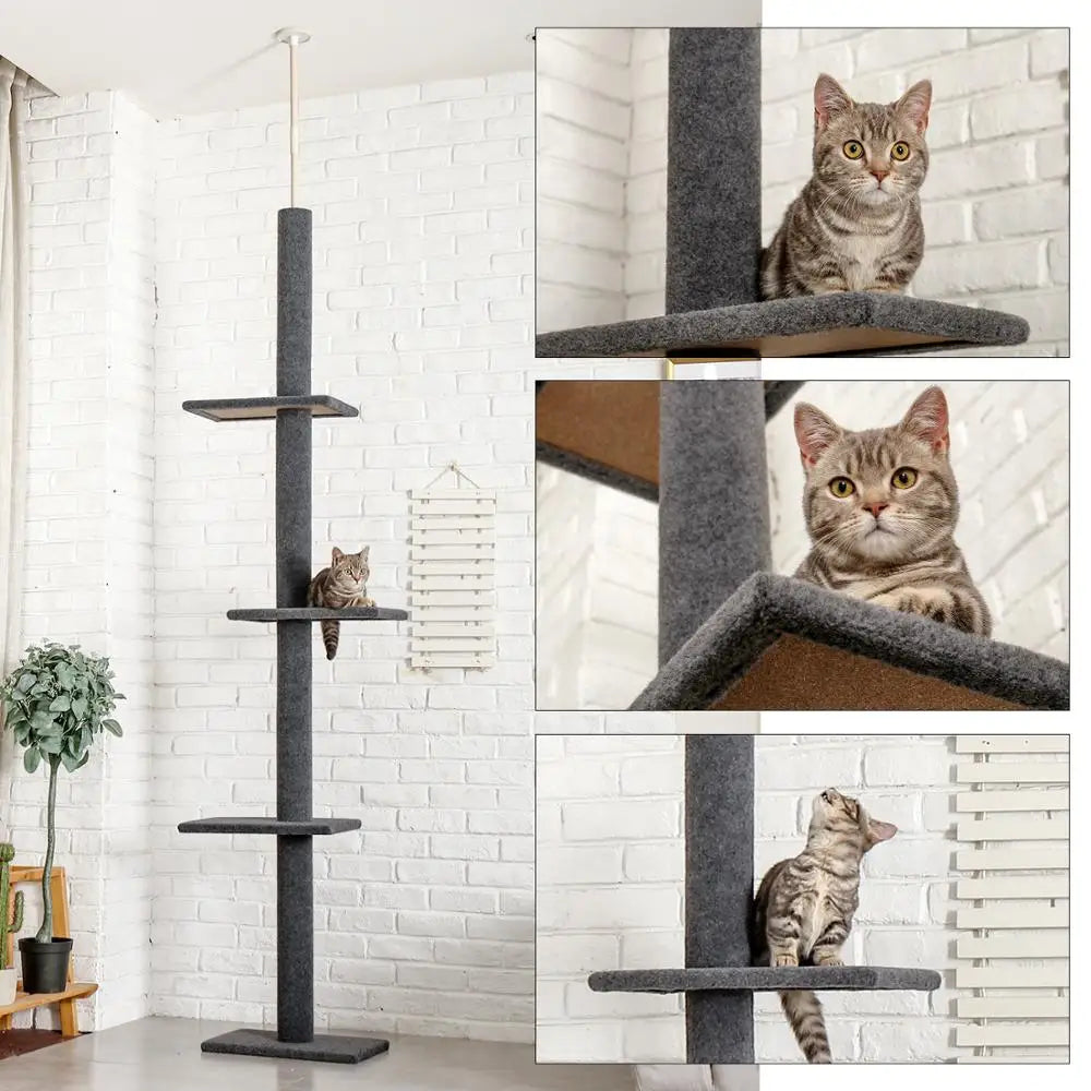Tiragraffi A Soffitto Per Maine Coon XXL Resistente