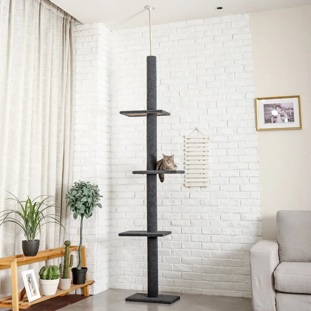 Tiragraffi A Soffitto Per Maine Coon XXL