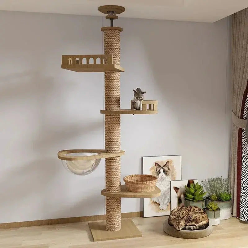 Tiragraffi A Soffitto Robusto
