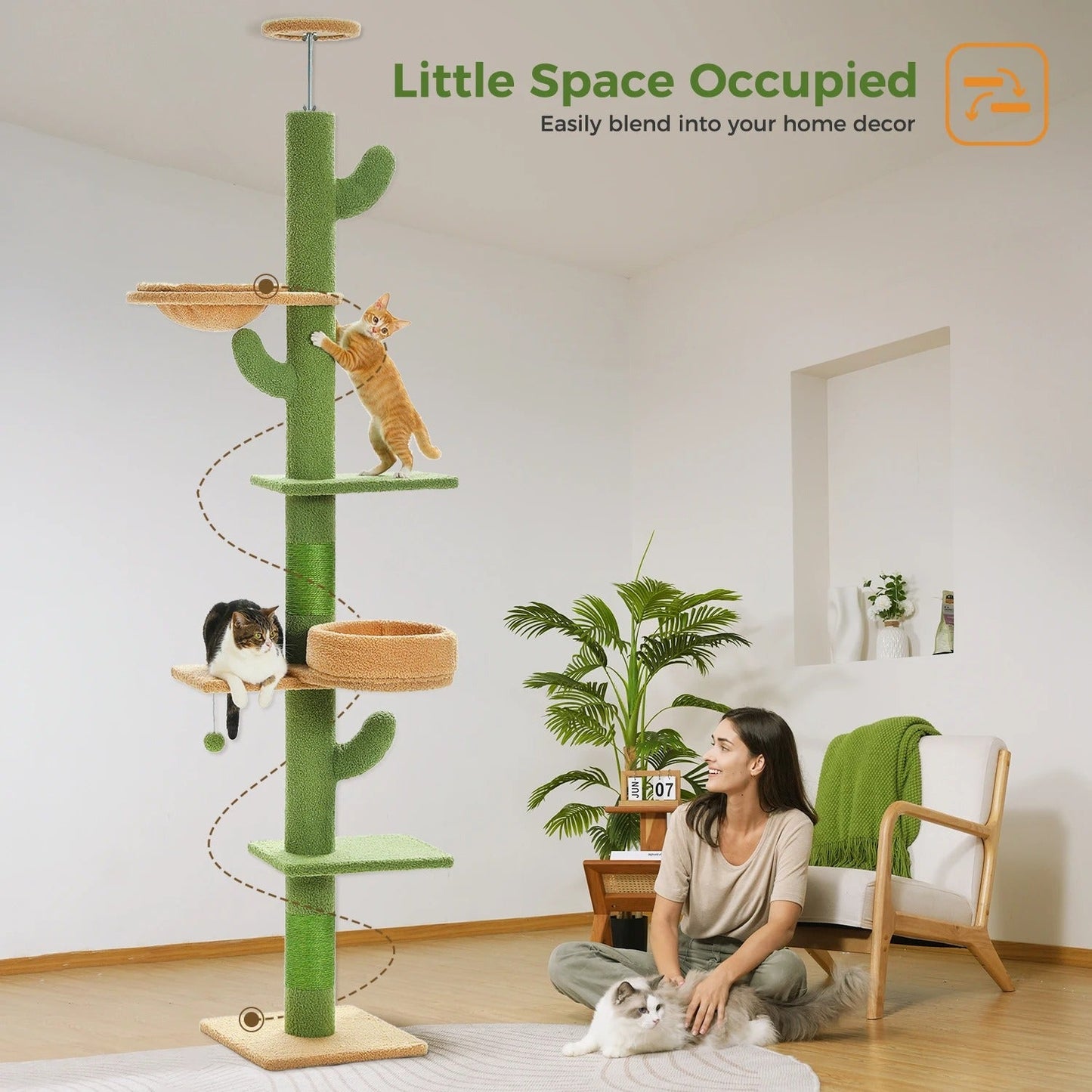 Tiragraffi Cactus A Soffitto In Legno