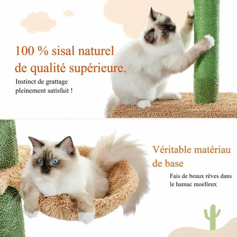 Tiragraffi Cactus A Soffitto Per Gatti Grandi Verde Con Cuccia