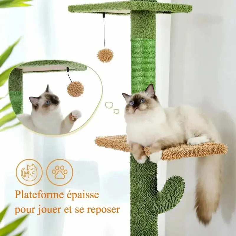 Tiragraffi Cactus A Soffitto Per Gatti Grandi Verde In Legno