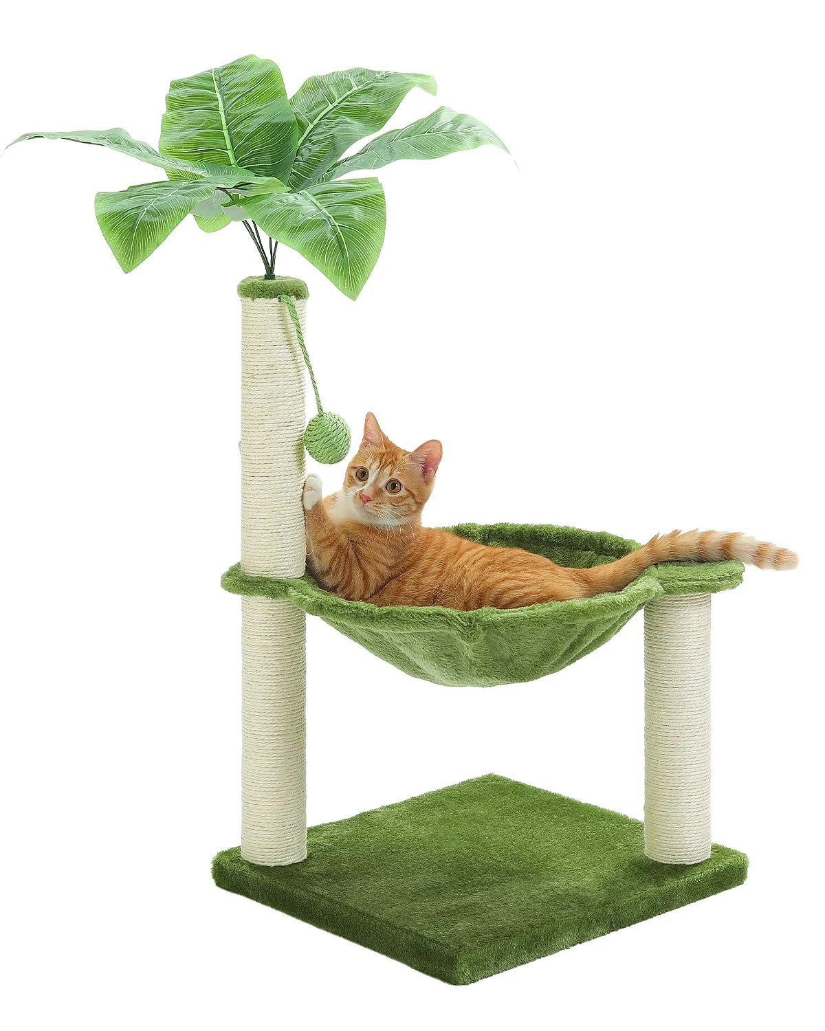 Tiragraffi Cactus Per Gattini In Legno