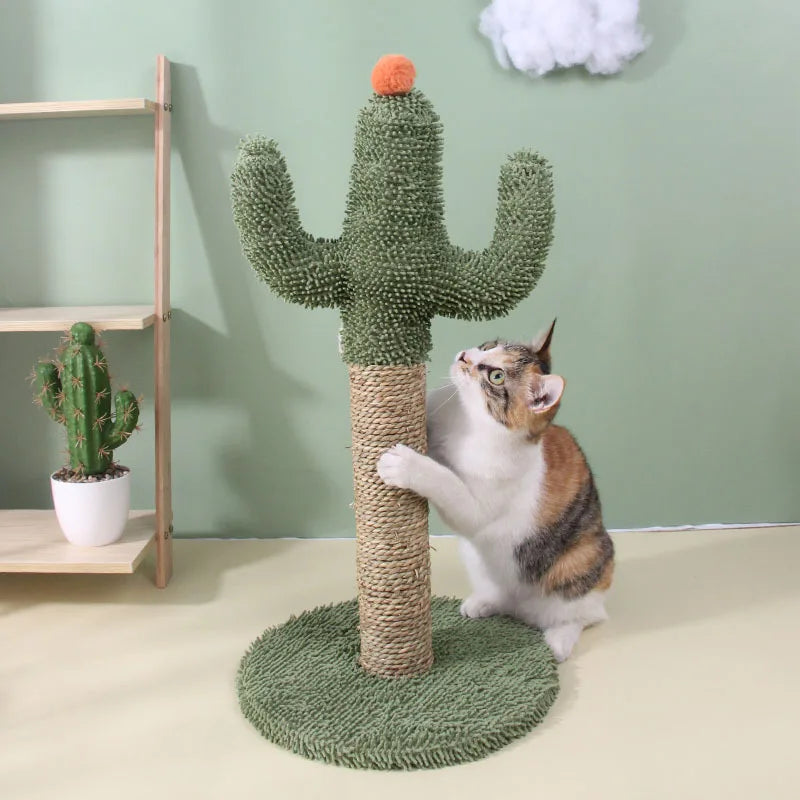 Tiragraffi Cactus Piccolo Da Parete
