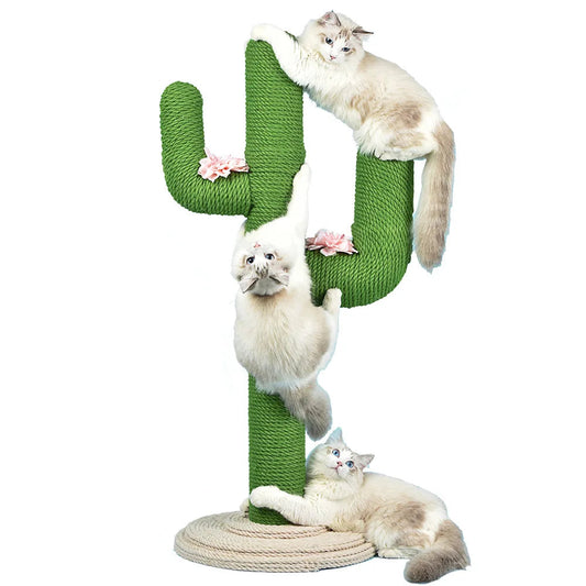Tiragraffi Cactus Piccolo Verde