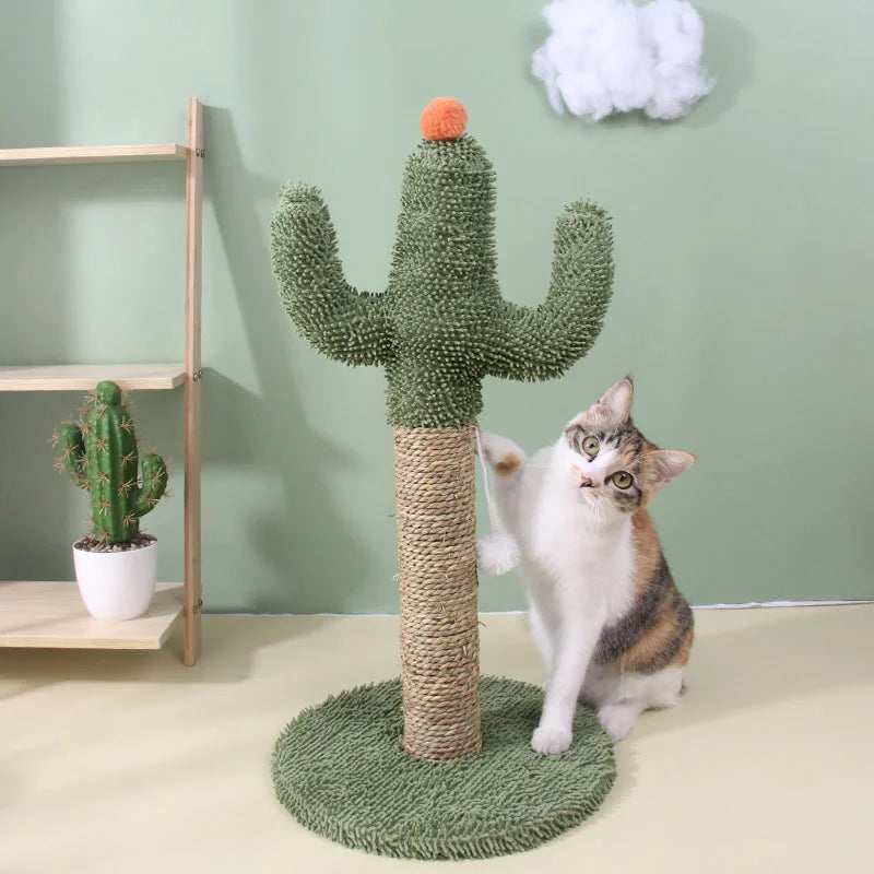 Tiragraffi Cactus Piccolo