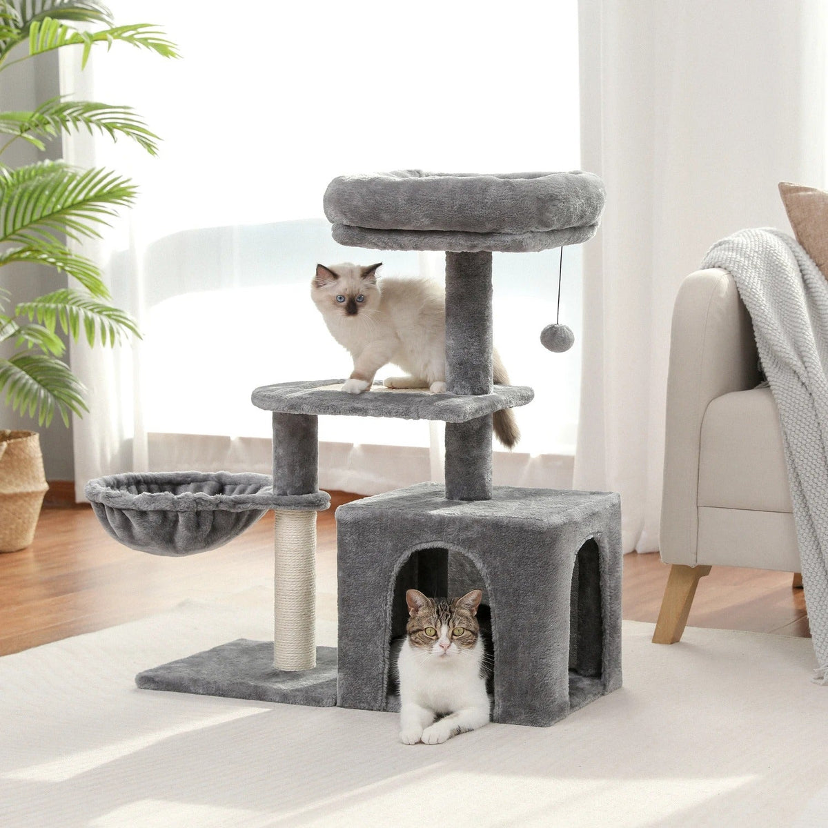 Tiragraffi Con Amaca Con Cuccia In Sisal