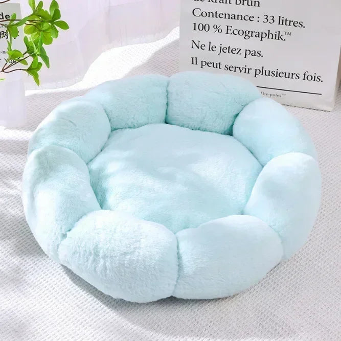 Tiragraffi Con Cuccia Resistente