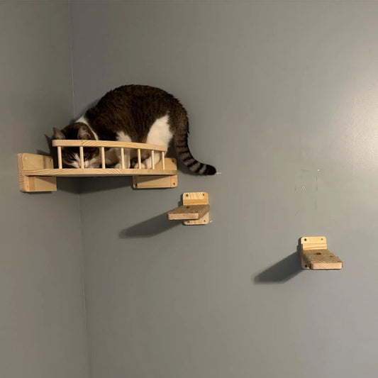 Tiragraffi Da Parete In Legno Con Amaca Con Scala Per Gatti