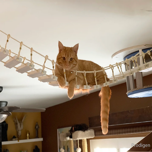 Tiragraffi Da Parete In Legno Con Ponte Di Design Per Gatti