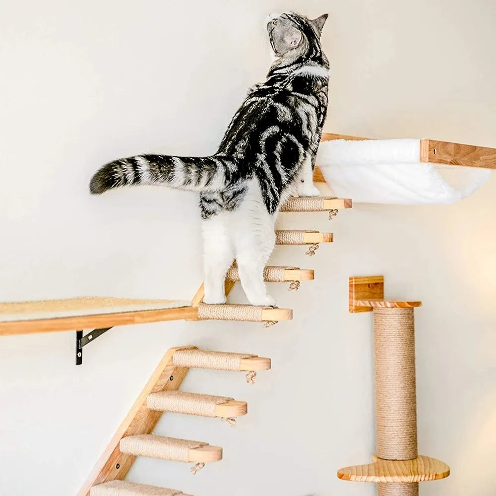 Tiragraffi Da Parete In Legno Per Gattini Di Design Con Amaca