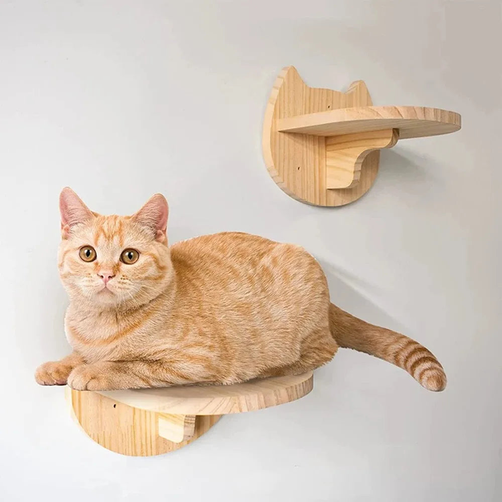 Tiragraffi Da Parete In Legno Per Gattini Di Design Salvaspazio
