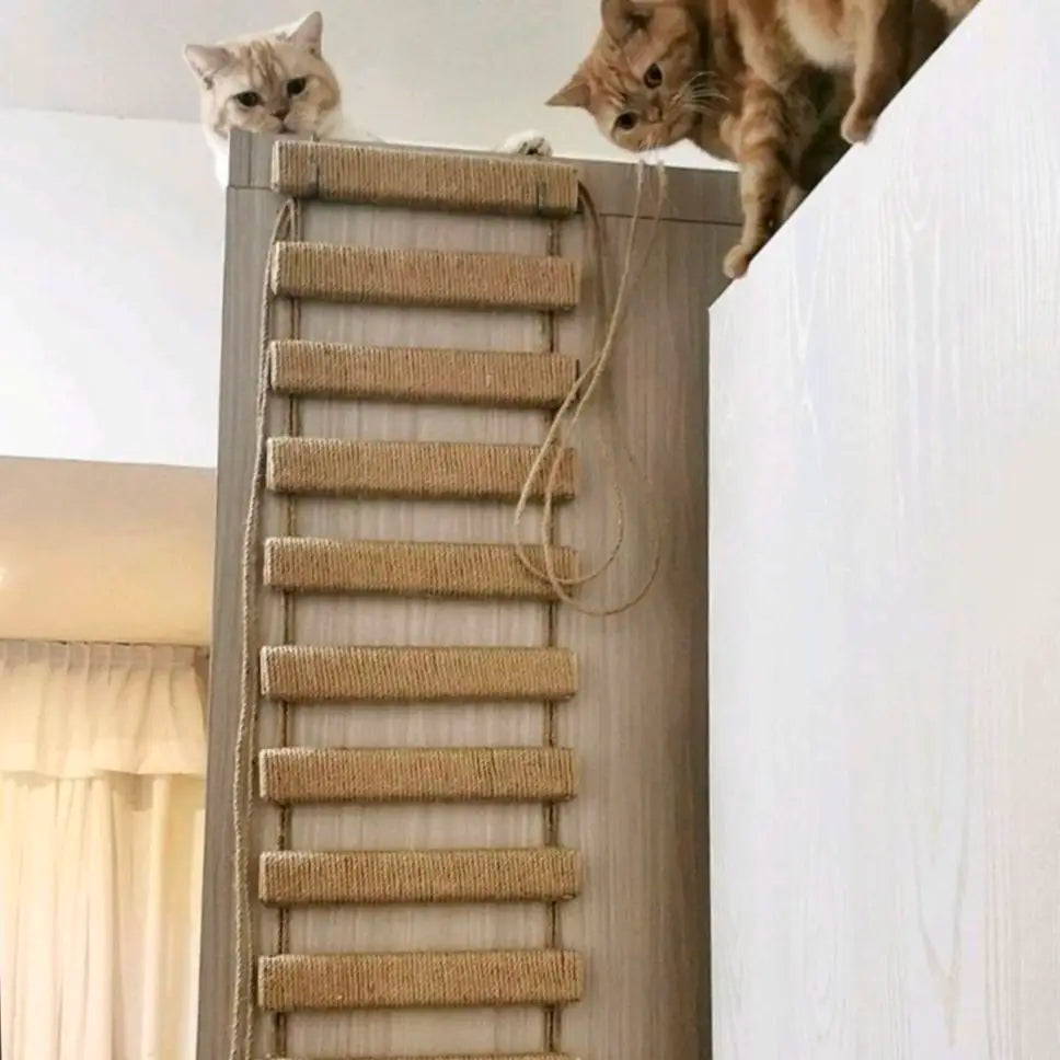 Tiragraffi Da Parete In Sisal Con Cuccia