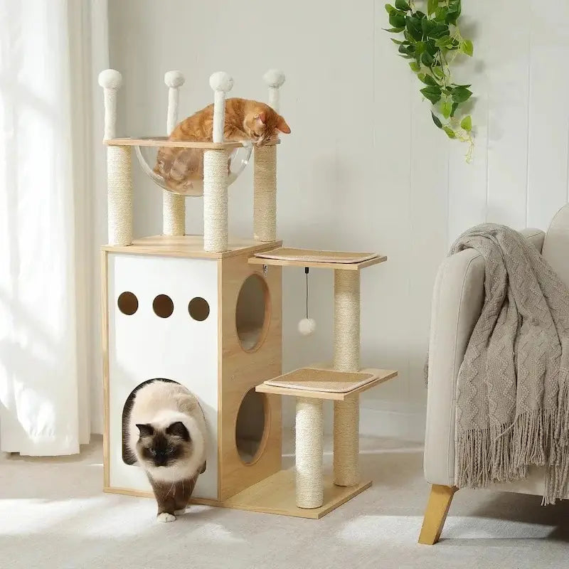 Tiragraffi In Legno Per Gattini Per Gatti