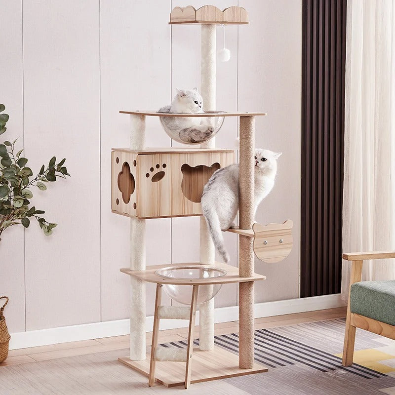 Tiragraffi In Legno Per Maine Coon XXL Design Moderno