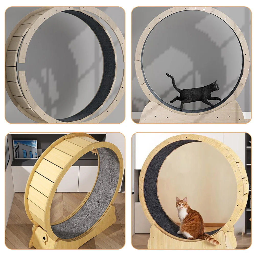 Tiragraffi Per Gatti Di Design Da Parete