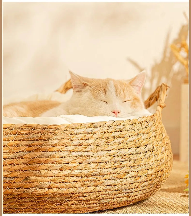 Tiragraffi Per Gattini Beige Da Parete
