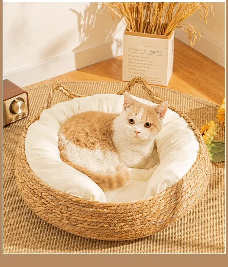 Tiragraffi Per Gattini Beige Resistente