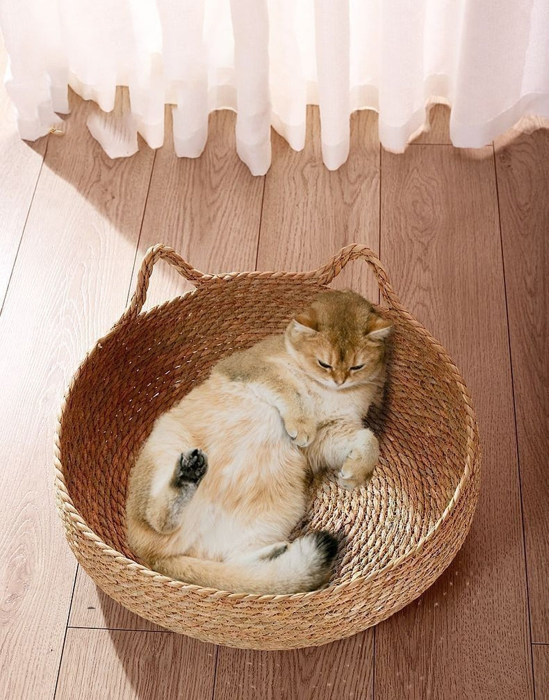 Tiragraffi Per Gattini Beige Robusto