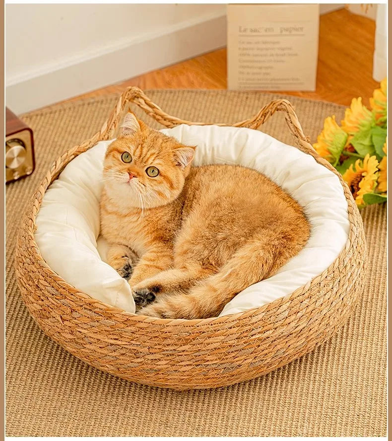 Tiragraffi Per Gattini Beige Salvaspazio