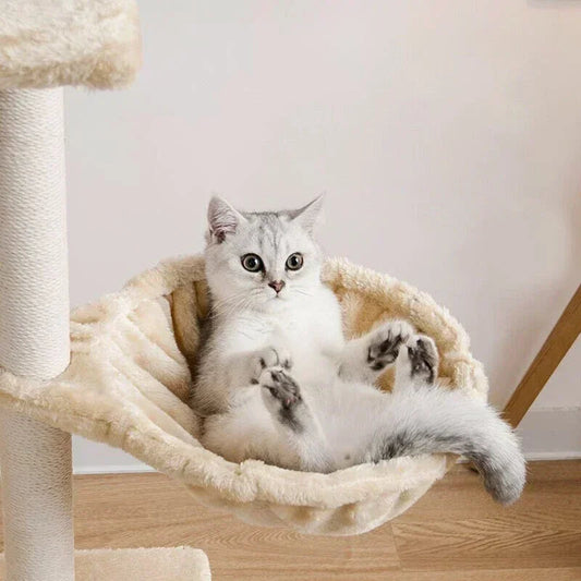 Tiragraffi Per Gattini Con Amaca Per Gatti