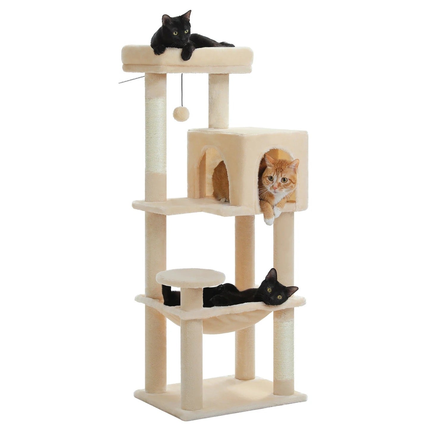 Tiragraffi Per Maine Coon Comodo