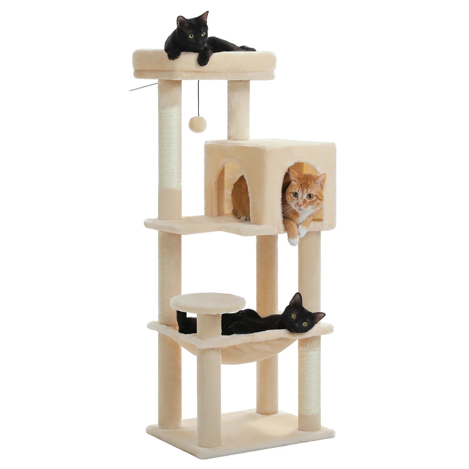 Tiragraffi Per Maine Coon Comodo
