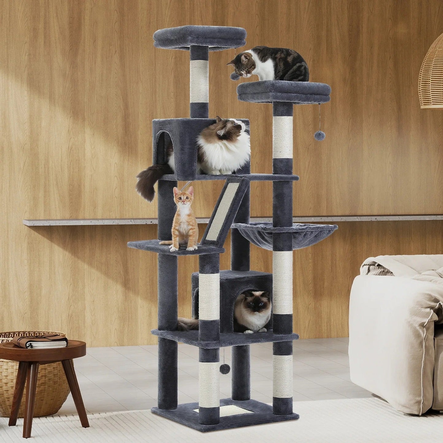 Tiragraffi Per Maine Coon Design Moderno