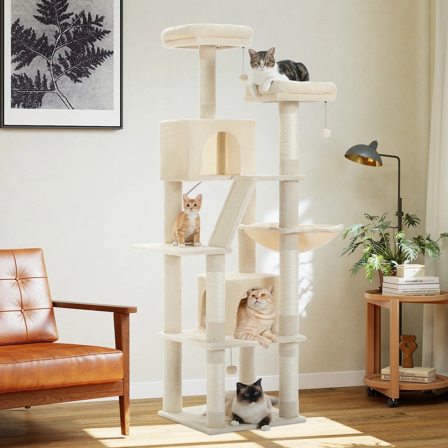 Tiragraffi Per Maine Coon Resistente
