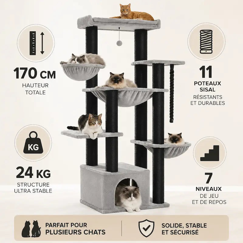 Tiragraffi Per Maine Coon XXL Design Moderno