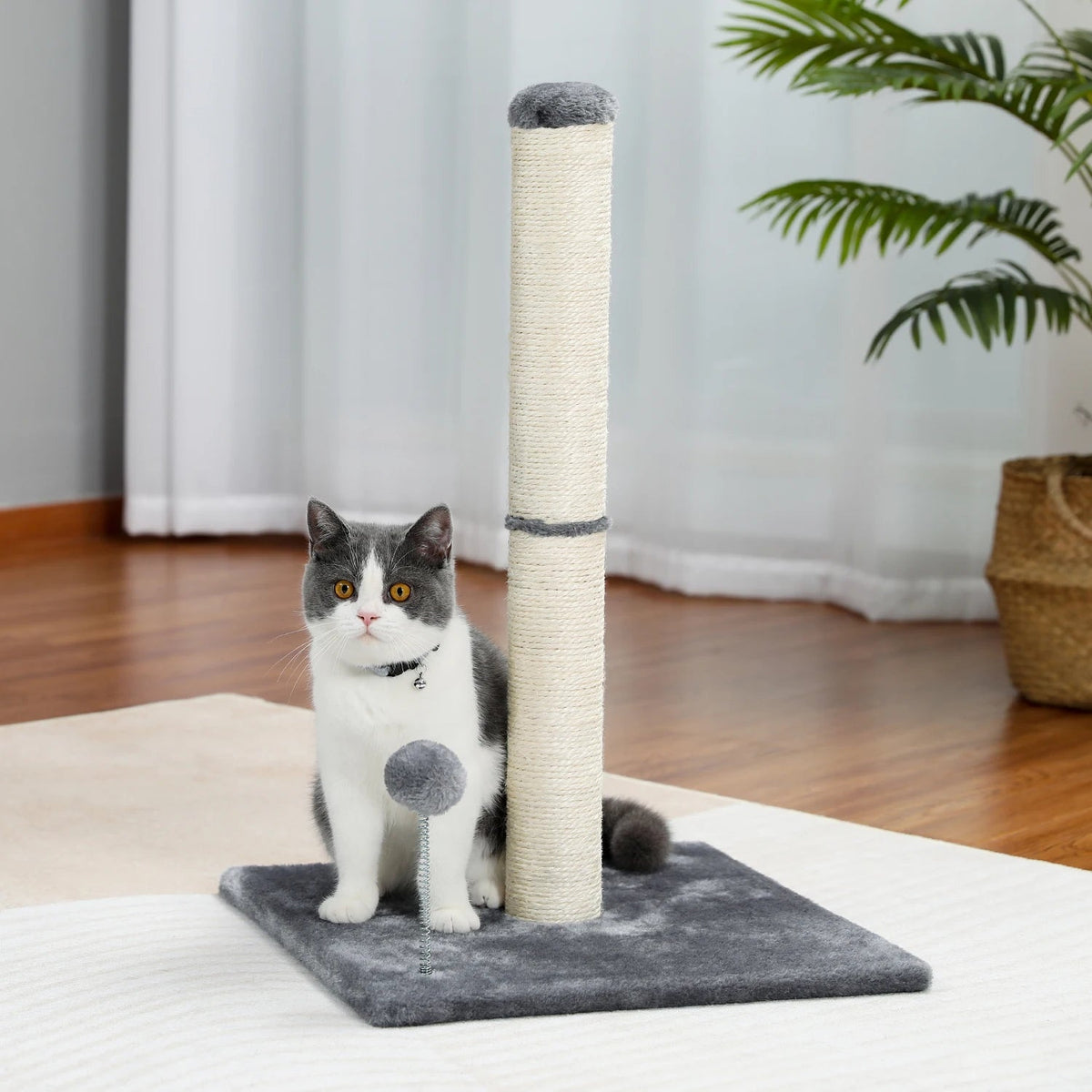 Tiragraffi Piccolo Grigio In Sisal