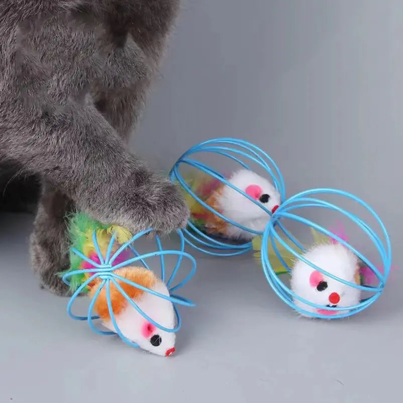 Topo Per Gatti Divertente