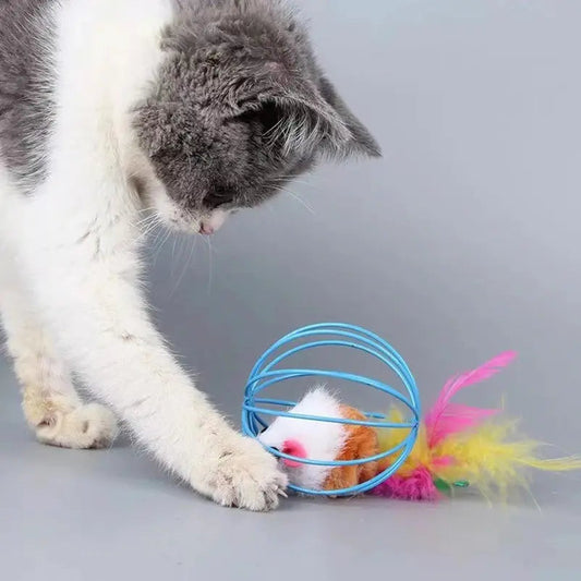 Topo Per Gatti