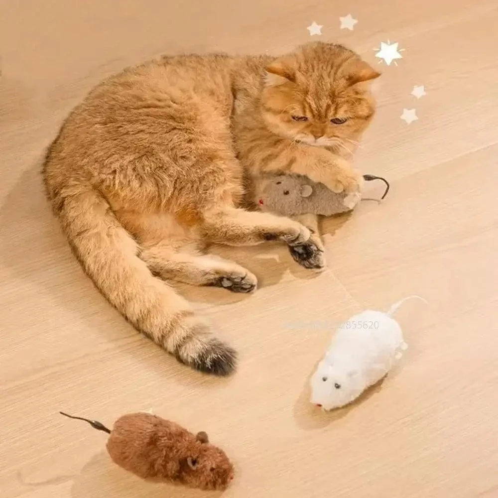 Topolino Per Gatti Divertente