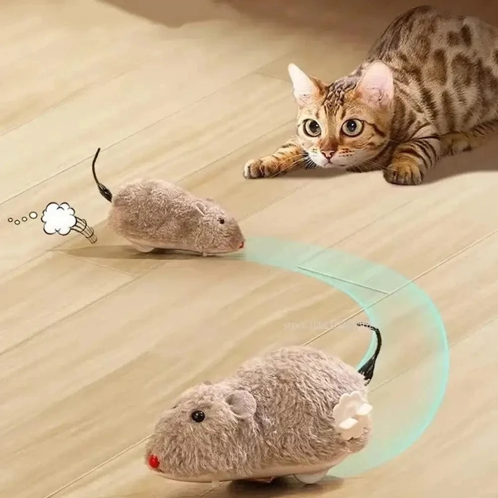 Topolino Per Gatti Interattivo