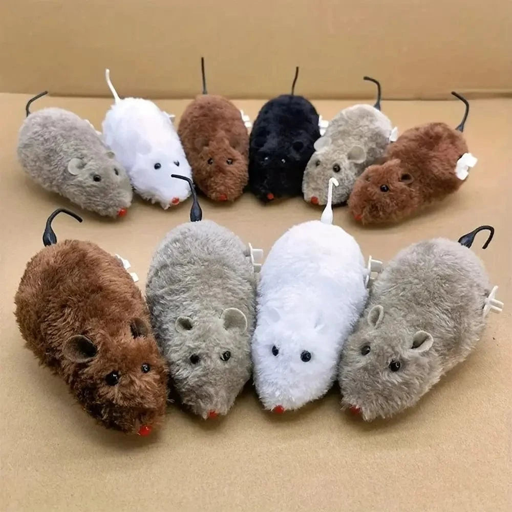 Topolino Per Gatti