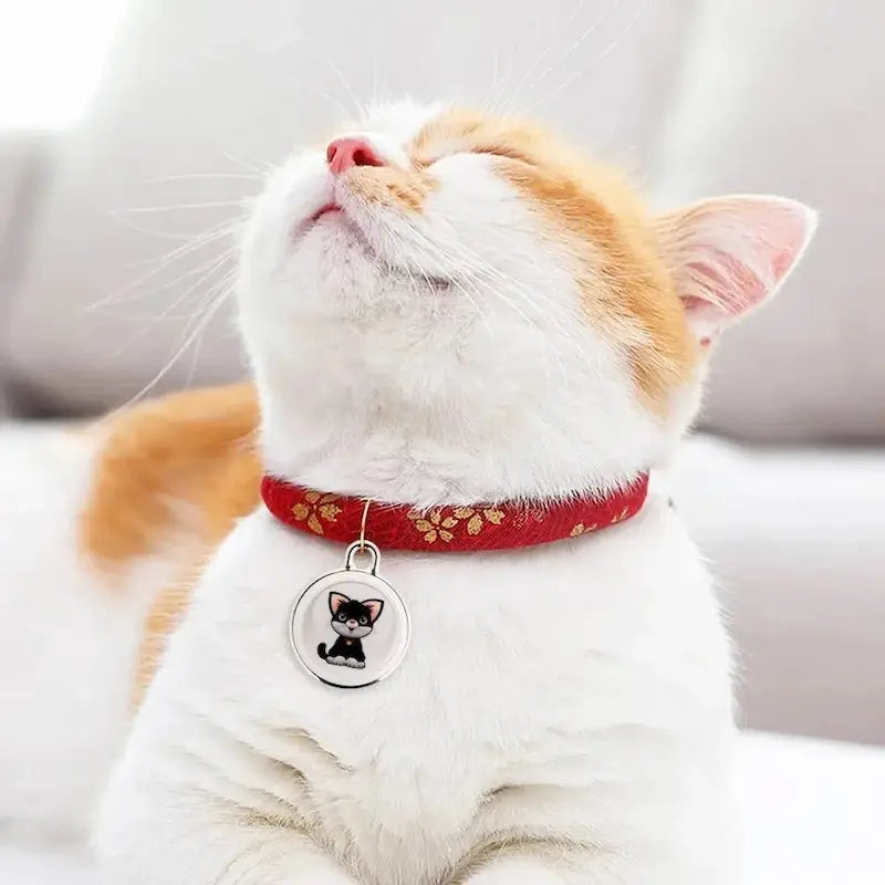 Tracker Per Gatti Localizzatore