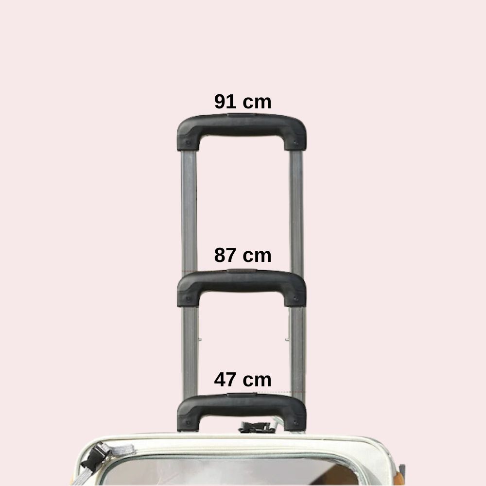 Trasportino Gatto Grande Da Viaggio