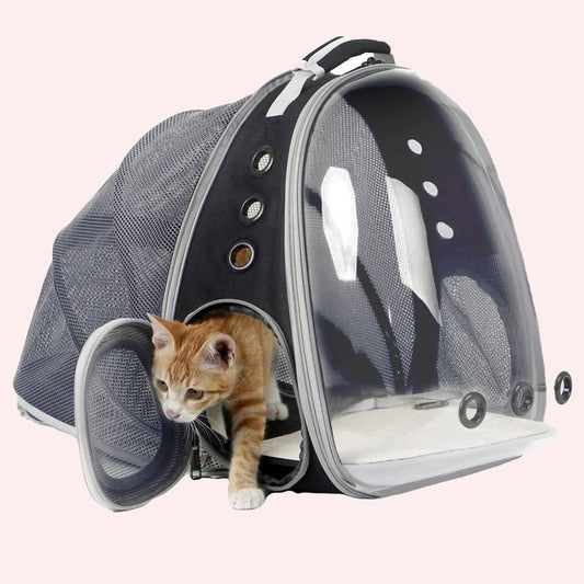 Trasportino Gatto Zaino