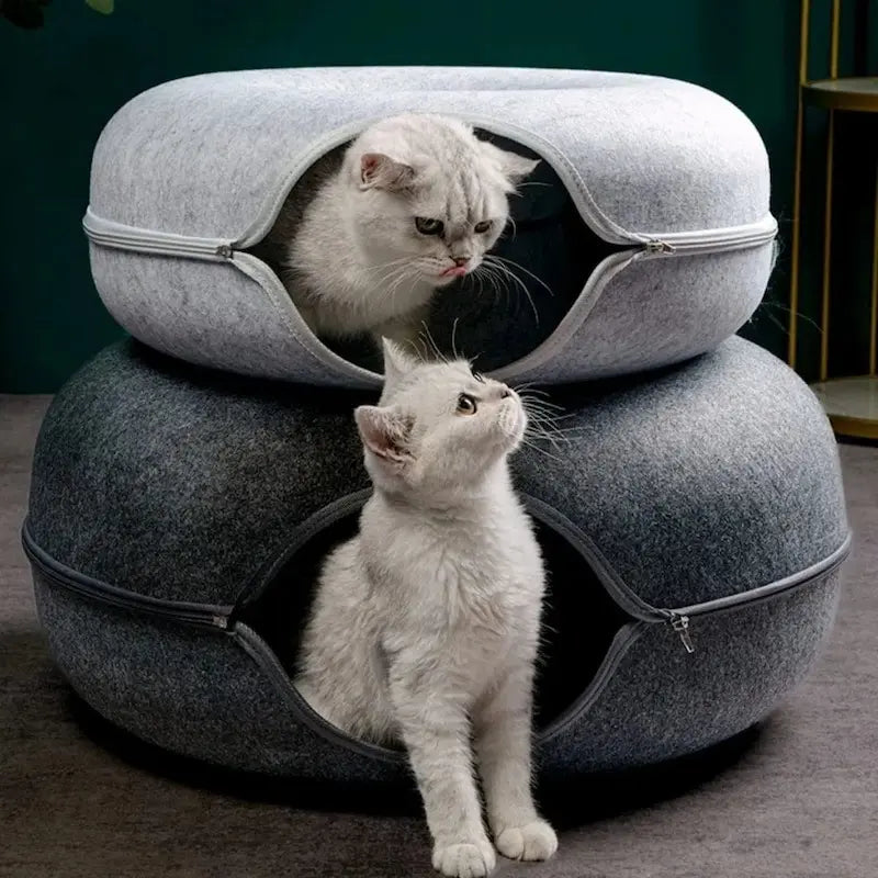 Tunnel Per Gatto