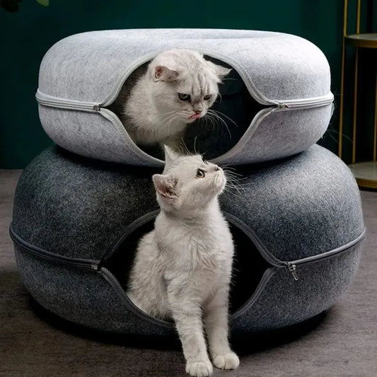 Tunnel Per Gatto